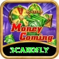 3cardfly Turbo vv4.7.3