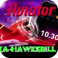 antigua hawksbill Deluxe v4.0.9