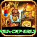asia cup 2023 Premium Edition v3.4.3