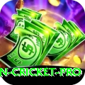 australian cricket Royal PK v1.1.8