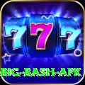 bbl big bash apk Games (Casino & Earning) Premium v3.4.2