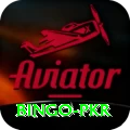 Bingo PKR Apps (Tools & Injectors) Plus v4.9.6