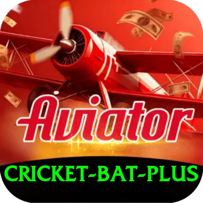 cricket bat Cash Prime - 2