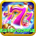 david gower Max Pro v3.0.3