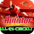 fastest ball in cricket Master v3.0.4