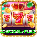 icc score Max v4.4.2