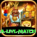 india australia live match Premium Plus v3.9.2