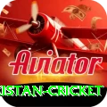 india pakistan cricket Gold Pro v2.0.4