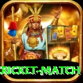 india pakistan cricket match Deluxe Edition v5.9.7