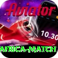 india south africa match Gold Edition v2.3.7
