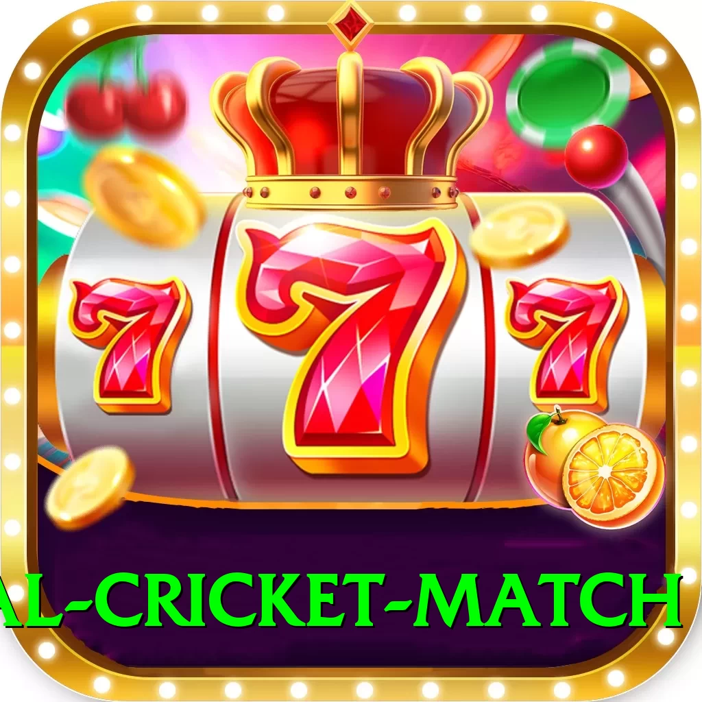 international cricket match Deluxe Pro v3.3.0 - 2