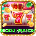 international cricket match Deluxe Pro v3.3.0