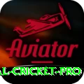 international cricket Pro APK v3.6.9