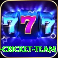 ireland cricket team Master Pro v5.0.9