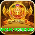 naseem shah yorkers Apps (Tools & Injectors) Elite v1.1.0