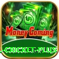 nepal cricket Gold APK v1.5.6