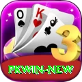 pkwin VIP Edition v1.1.6