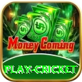 play cricket Max v5.8.3