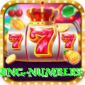 powerball winning numbers VIP v2.4.6