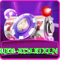 rudi koertzen Elite Pro v5.8.7