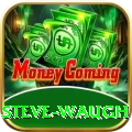 steve waugh Turbo v3.7.3