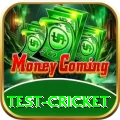 test cricket Elite Pro v2.4.0