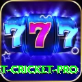 test cricket Gaming VIP