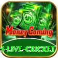 watch live cricket Turbo v1.3.2
