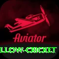 willow cricket Games (Casino & Earning) Pro v2.2.5