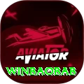 winbaobab Turbo Pro vv4.5.5