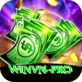 Winvn Pro
